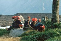 Lặng ngắm Sapa hoang sơ trong những năm 90