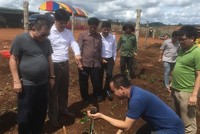 Ban lãnh đạo Nafoods tham gia lễ xuống giống chanh leo cùng đối tác tại Lào.