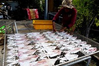 Người dân đang phơi mực một nắng bán cho du khách
