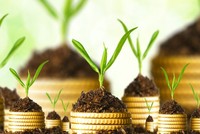 7 quy tắc 'vàng' đầu tư đất nền an toàn