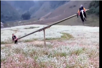 Clip đu quay bập bênh ở Mộc Châu lên báo nước ngoài