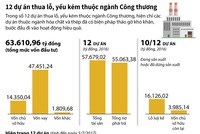 12 dự án thua lỗ, yếu kém thuộc ngành công thương