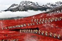 Những bức ảnh khiến bạn không tin vào mắt mình