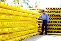 Chủ tịch Nhựa Đồng Nai (DNP) muốn mua thêm hơn 4,5 triệu cổ phiếu 