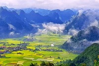 Đi ngay kẻo lỡ mùa lúa chín đẹp lung linh ở Bắc Sơn