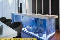 Những thứ bạn nên mua cho căn nhà khi giàu có