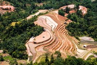 Mảng màu vàng của đất ruộng bậc thang giữa núi rừng - Ảnh: Hải Dương.
