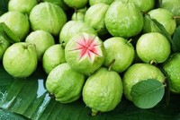 Thưởng thức những đặc sản “danh bất hư truyền” ở Thái Bình