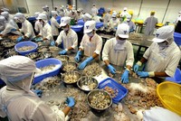 Hơn 1.000 công ty Việt Nam không thể xuất hàng vào Mỹ