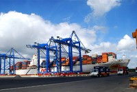 Cảng Cái Mép - Thị Vải dù đầu tư hàng tỷ USD nhưng công suất hoạt động chỉ 15-20%.