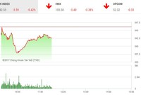 Phiên sáng 31/10: VN-Index hãm phanh sau cú rơi sốc đầu phiên