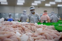 Kinh doanh thua lỗ, Thủy sản Hùng Vương (HVG) muốn bán hết cổ phiếu Thực phẩm Sao Ta