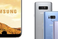 Hình dung của PhoneArena về hai khả năng đặt cảm biến vân tay trên Galaxy S9.