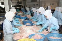 Thủy sản Bến Tre (ABT) muốn thế chân Hùng Vương tại Thực phẩm Sao Ta (FMC)