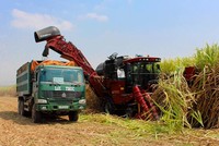 SBT: Cổ đông lớn đăng ký mua 10 triệu cổ phiếu