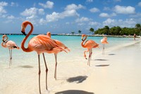 10 điểm đến dân không đông bằng khách