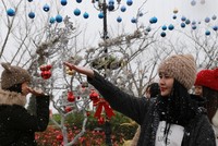 Du khách đổ xô tới “sống ảo” tại Lễ hội mùa Đông ở Fansipan Legend