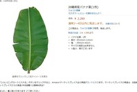 Trên Amazon Nhật một tàu lá chuối có giá 470.000 đồng.