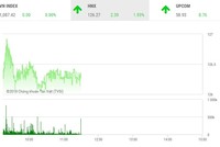 Phiên sáng 23/1: HOSE sập sàn, tiền chảy mạnh sang HNX