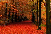 Thị trường tài chính 24h: Dòng tiền chưa có dấu hiệu “nghỉ ngơi”