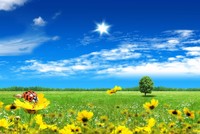 Thị trường tài chính 24h: Nóng câu chuyện thưởng tết của ngân hàng