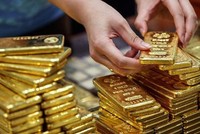 Giá vàng hôm nay (29/1): Trong nước và thế giới đồng loạt giảm