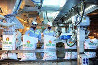 Lợi nhuận giảm mạnh quý IV, Đạm Cà Mau vẫn vượt chỉ tiêu cả năm 2017