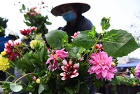 Chợ hoa lớn nhất Hà thành tấp nập ngày đêm