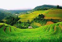 Thị trường tài chính 24h: Leo đỉnh thành công