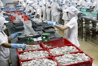 Thủy sản số 4 (TS4) bị phạt truy thu thuế hơn 15 tỷ đồng