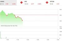 Phiên sáng 18/5: Nhà đầu tư đứng nhìn, VN-Index tiếp tục lùi sâu