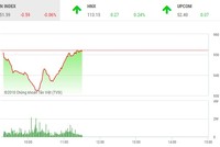 Phiên sáng 30/5: Biến động mạnh