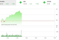 Phiên sáng 31/5: Sắc xanh áp đảo, VN-Index vượt qua ngưỡng 960 điểm