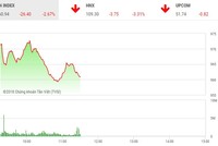 Phiên sáng 19/6: Áp lực bán mạnh chưa dừng, VN-Index lao xuống mốc 960 điểm
