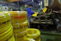 Không chịu đăng ký giao dịch, Cơ điện Trần Phú bị phạt 350 triệu đồng