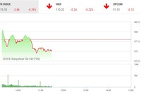 Phiên sáng 14/8: Thiếu sự đồng thuận, VN-Index yếu đà