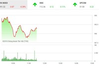 Phiên sáng 29/8: Áp lực bán gia tăng, VN-Index điều chỉnh