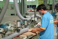 Gỗ Trường Thành (TTF) muốn đổi tên, phát hành 100 triệu cổ phiếu mới