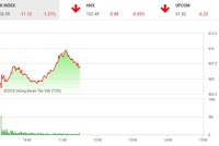 Phiên sáng 13/11: Chìm trong sắc đỏ