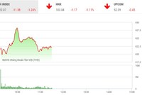 Phiên sáng 18/12: Hàng trăm mã giảm, VN-Index tiếp tục lùi sâu