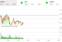 Phiên sáng 17/1: Cổ phiếu nhỏ hút dòng tiền