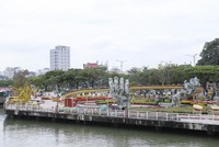 Đường hoa ở Đà Nẵng tái hiện cầu Vàng