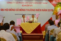 Năm 2019, Cadivi (CAV) chia cổ tức 50% bằng tiền mặt