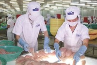 Hùng Vương (HVG) thoái vốn tại 2 công ty con