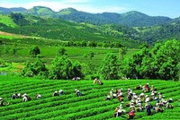 GTNFoods (GTN) biến động nhân sự trước ngày Đại hội đồng cổ đông