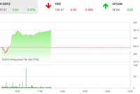 Phiên sáng 23/7: “Nhóm Vin” đẩy VN-Index lên trên ngưỡng 985 điểm