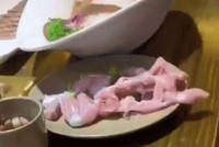 Thực khách Mỹ la hét khi thấy miếng thịt gà tự 'bò' khỏi đĩa