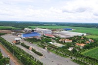 Thành Thành Công – Biên Hòa (SBT) muốn bán hơn 61 triệu cổ phiếu quỹ