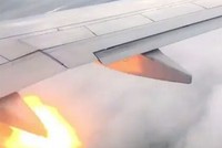 Cánh máy bay xuất hiện những tia lửa sau khi đâm vào đàn chim trên trời. Ảnh: Sun.