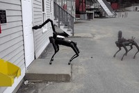 Chó Spot mở cửa bằng cánh tay robot. Ảnh: Sun.